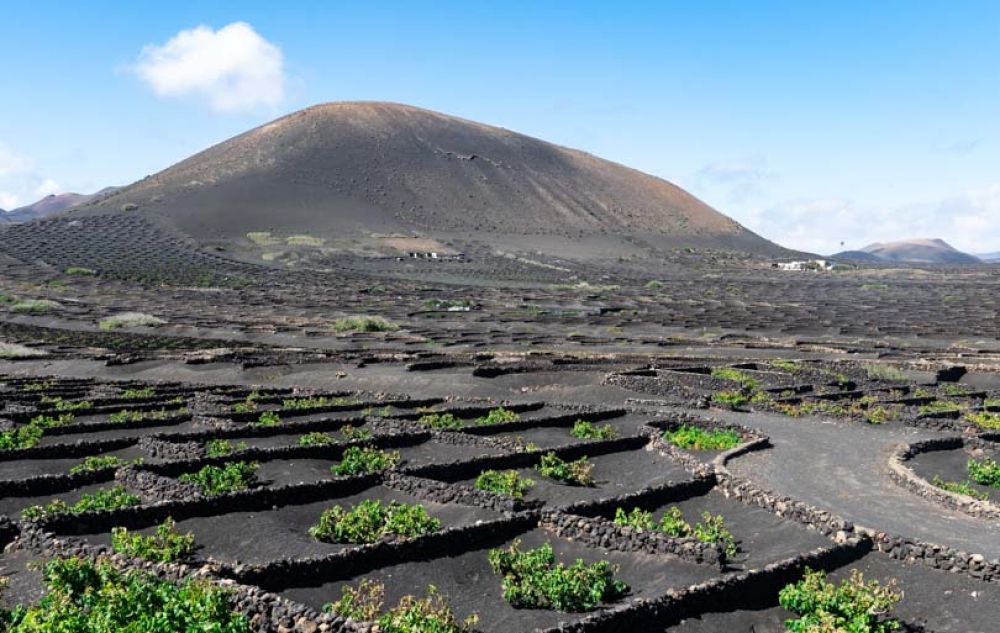 que faire à lanzarote